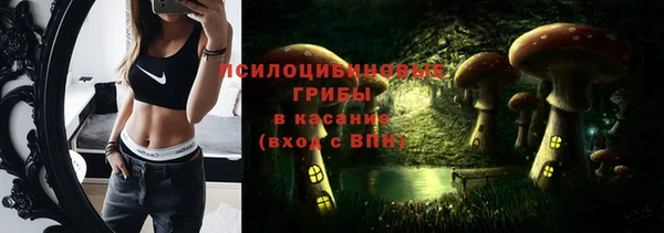 стаф Новокубанск