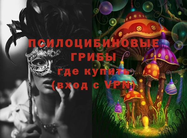 стаф Новокубанск