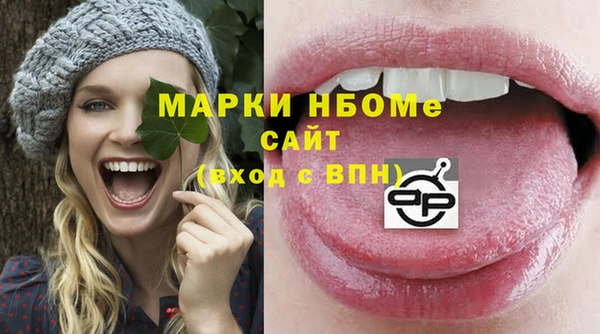 амф Новозыбков